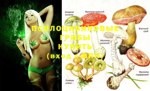 ГАЛЛЮЦИНОГЕННЫЕ ГРИБЫ Тавда