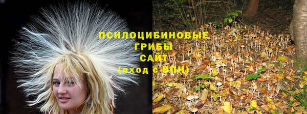гидропоника Белокуриха