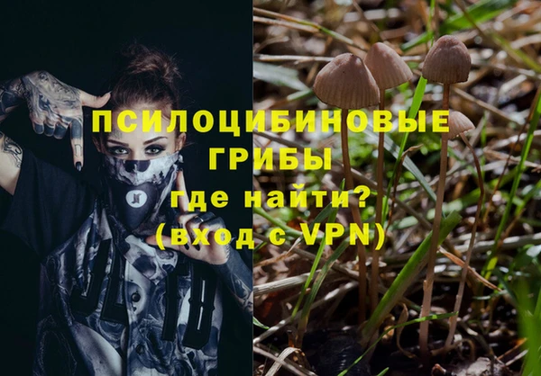 молекула духа Беломорск