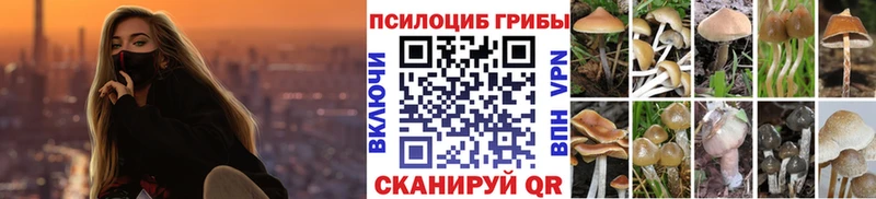 наркошоп  Колпашево  Псилоцибиновые грибы Psilocybe 
